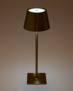 ONE-SIZE---Antique-Gold