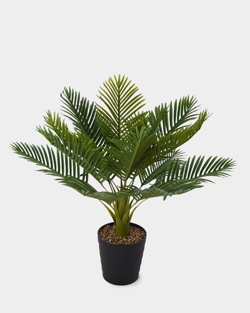 L---Green