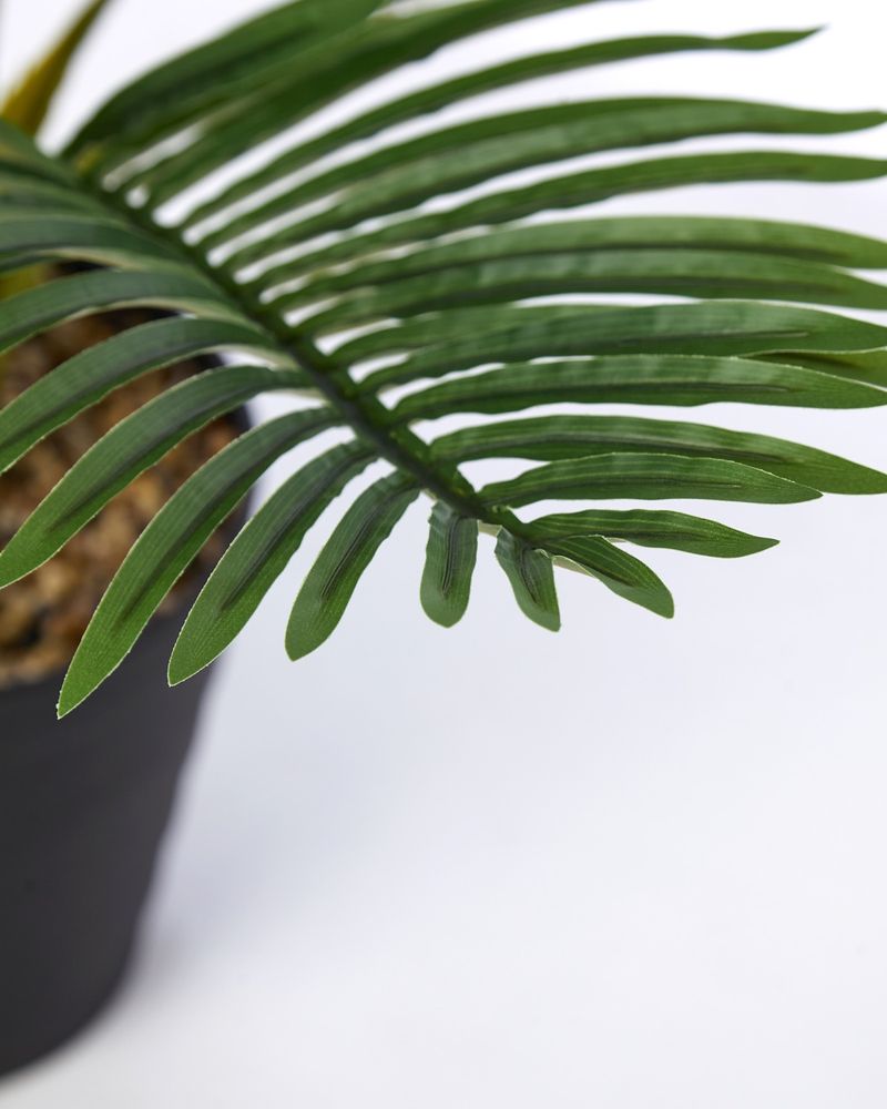 L---Green