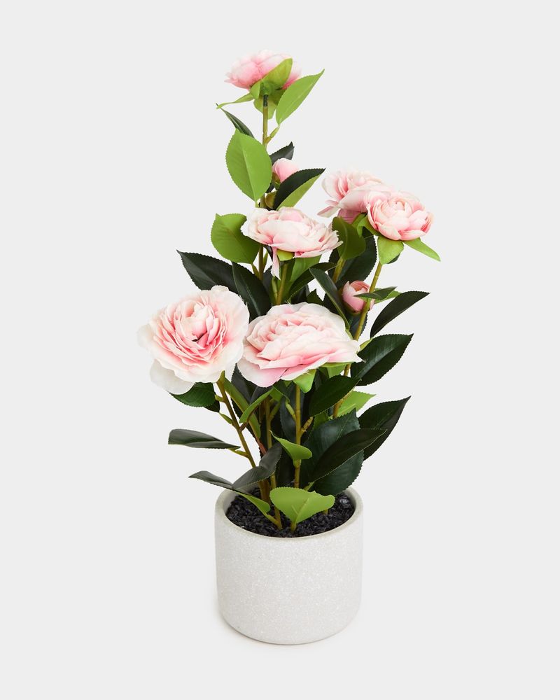 ONE-SIZE---Pink