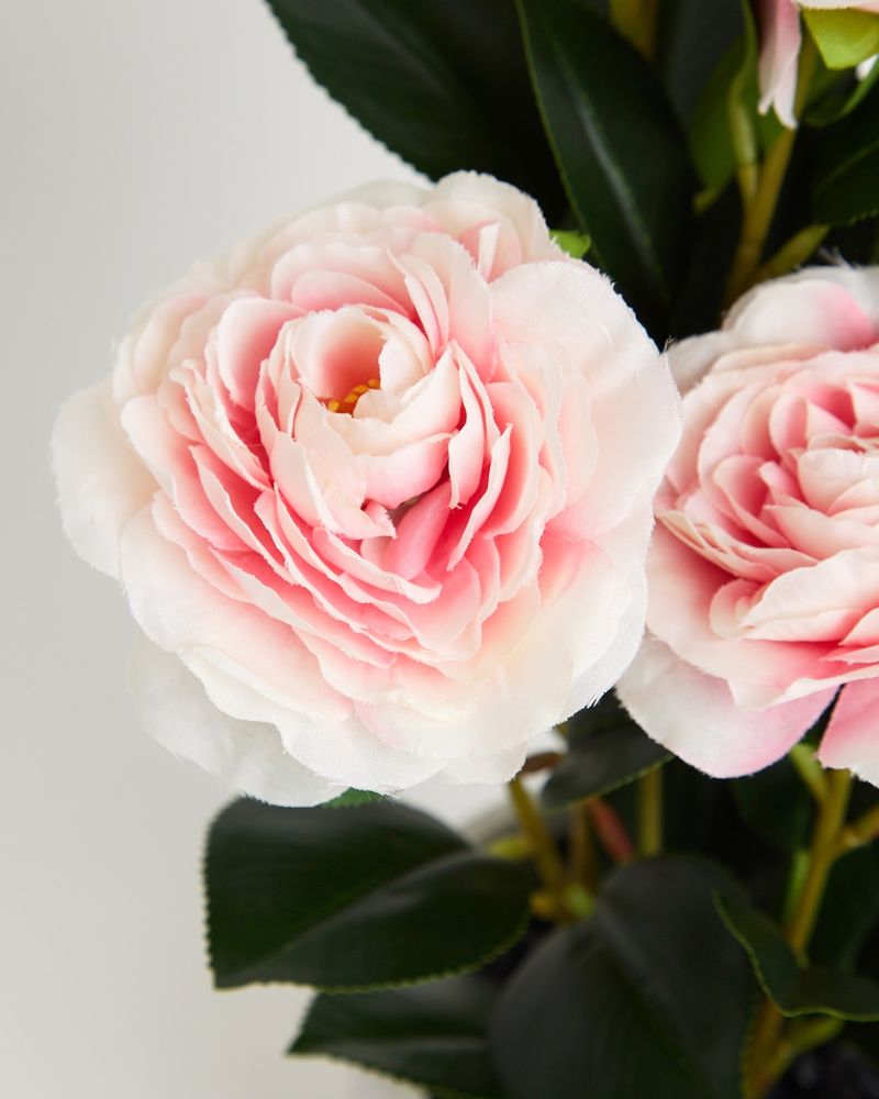 ONE-SIZE---Pink