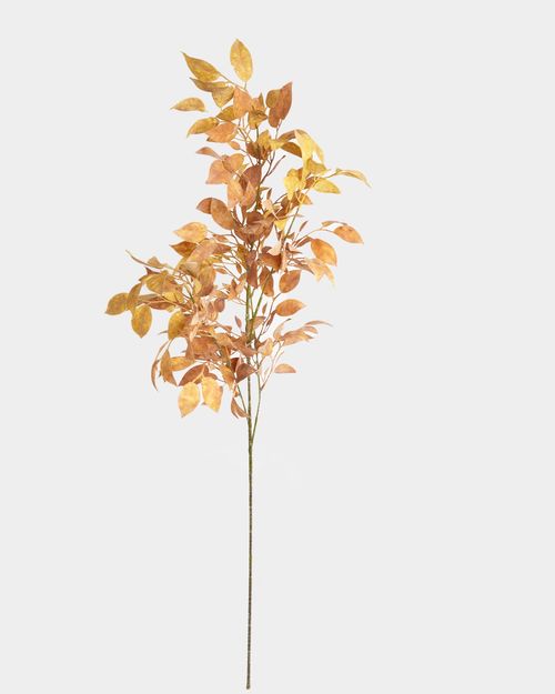 Paul Costelloe Living Autumn Leaf