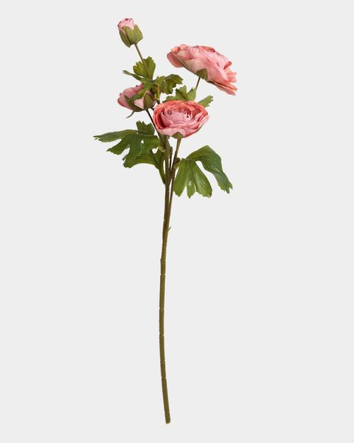 Paul Costelloe Living Lotus Stem