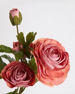 ONE-SIZE---Pink