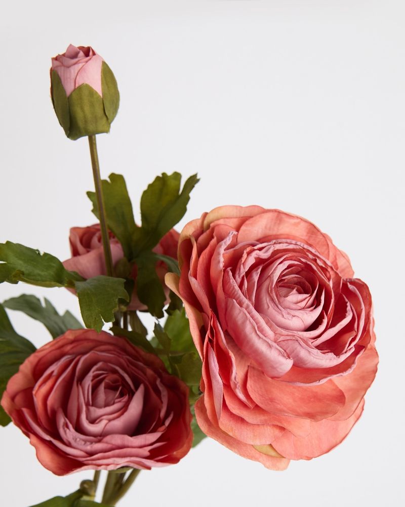 ONE-SIZE---Pink