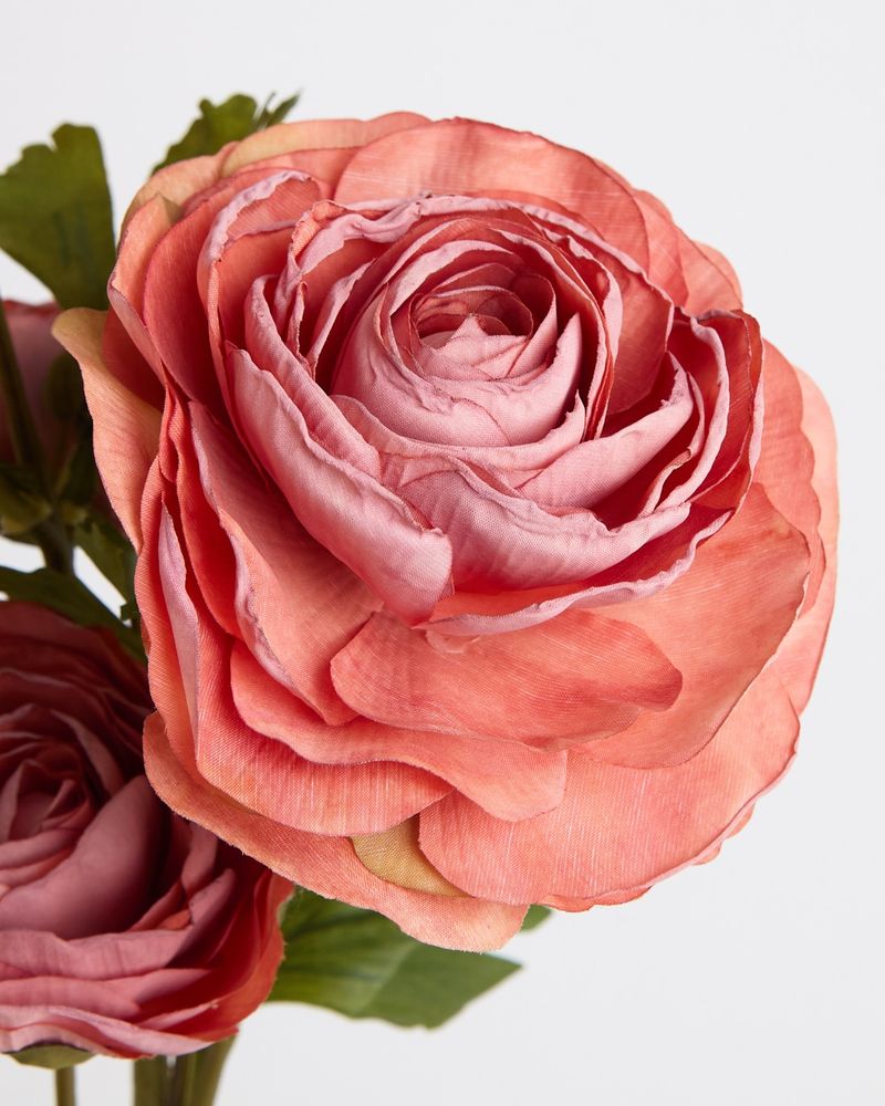 ONE-SIZE---Pink