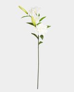 ONE-SIZE---Ivory