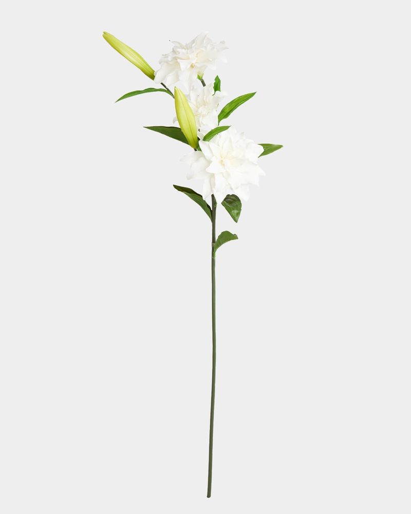 ONE-SIZE---Ivory