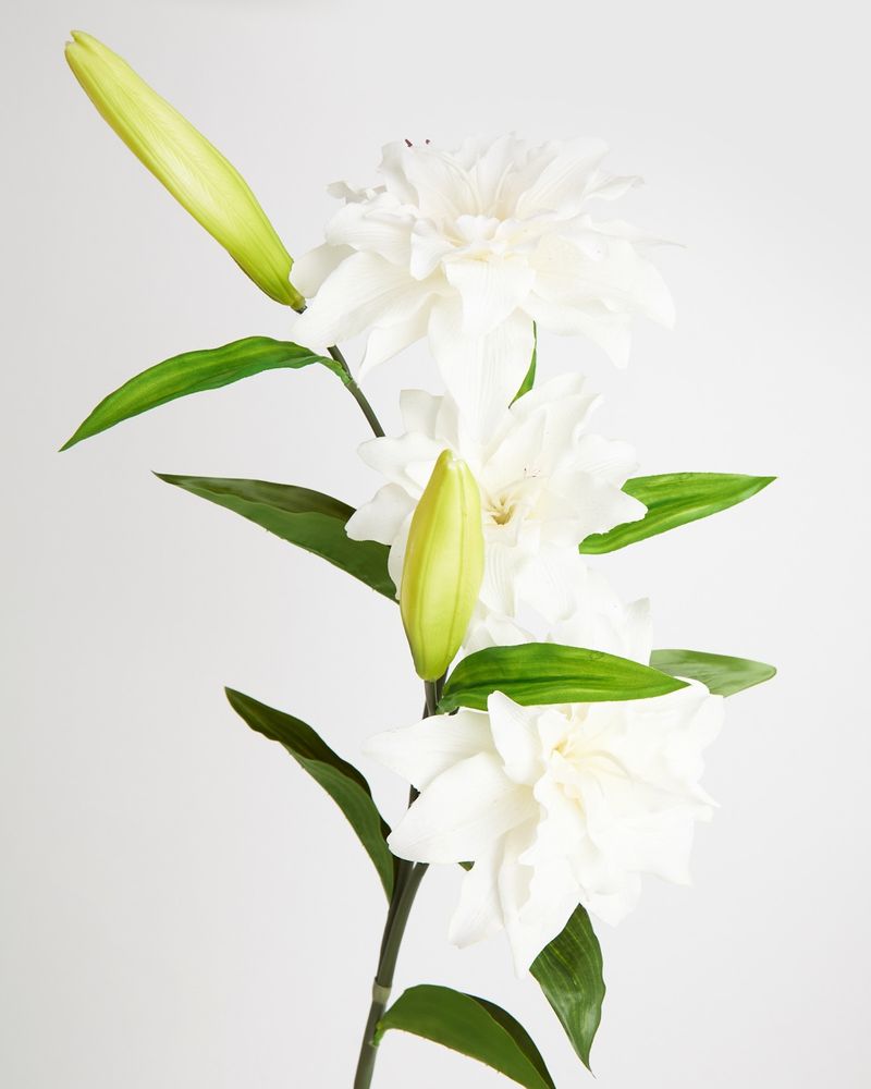 ONE-SIZE---Ivory