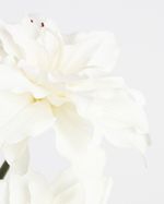 ONE-SIZE---Ivory
