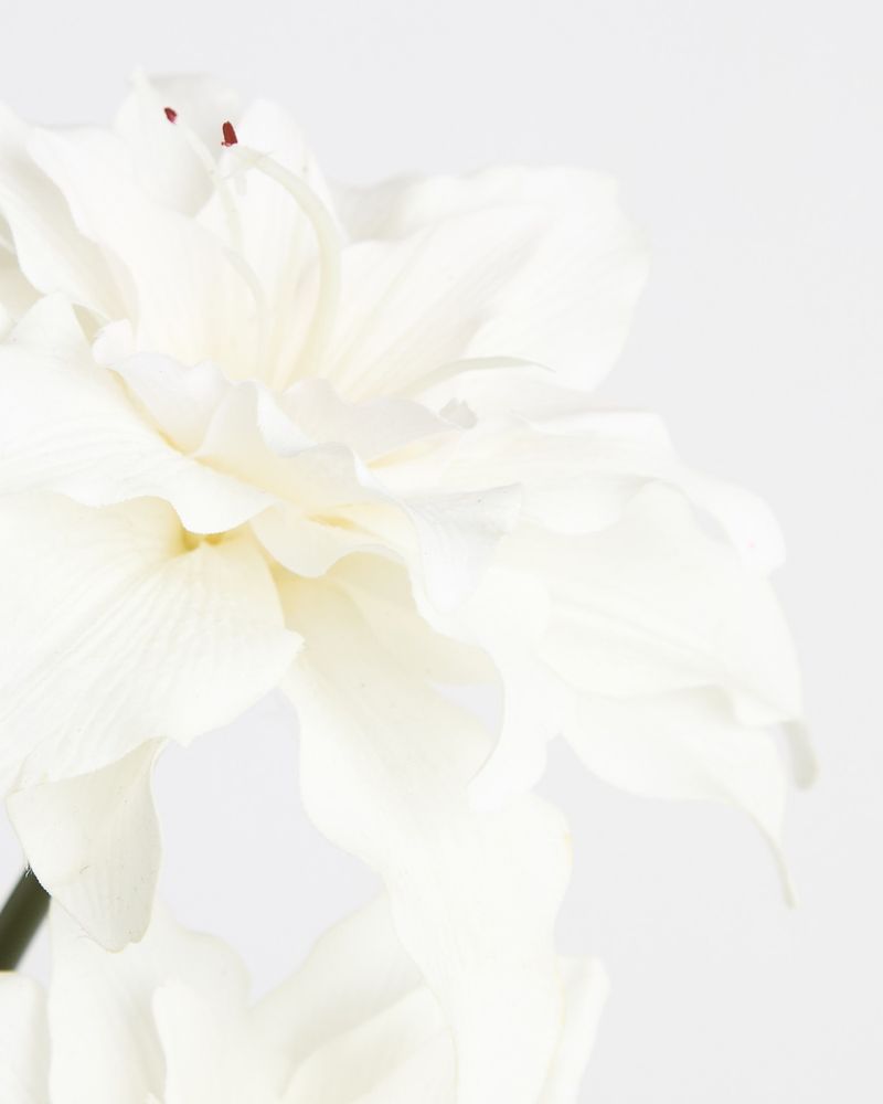 ONE-SIZE---Ivory