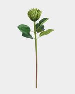 ONE-SIZE---Green