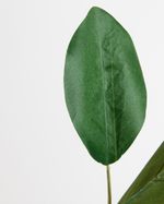 ONE-SIZE---Green