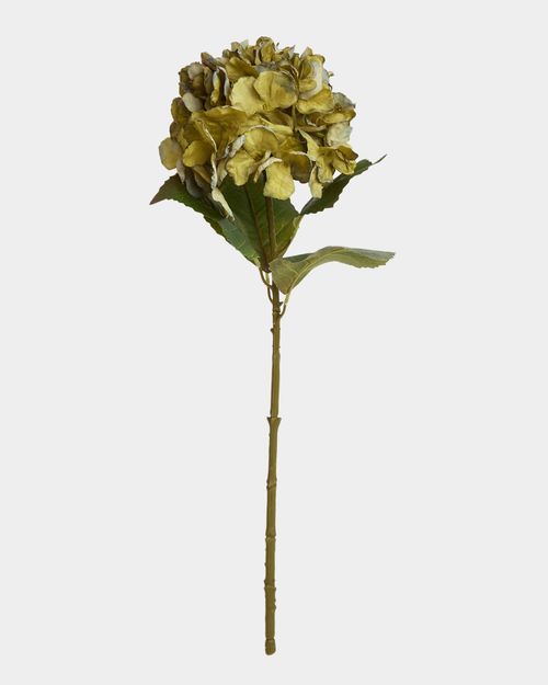 Paul Costelloe Living Hydrangea Stem