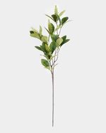 ONE-SIZE---Green
