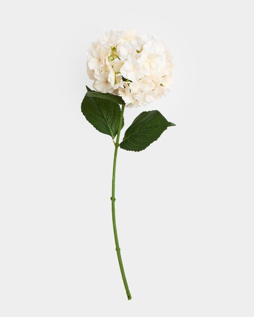 Paul Costelloe Living Large Hydrangea Stem