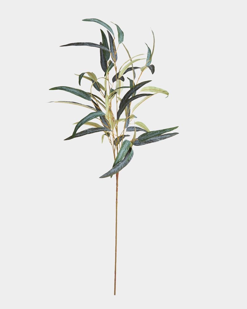 ONE-SIZE---Green