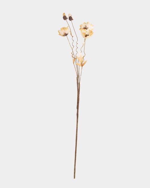 Paul Costelloe Living Antique Poppy Blossom