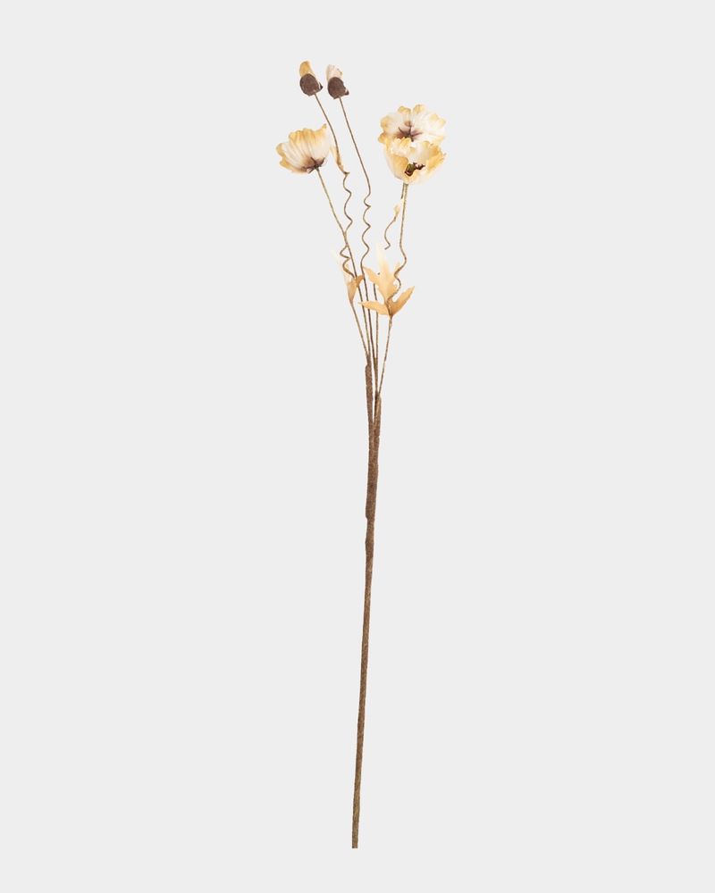 ONE-SIZE---Ivory