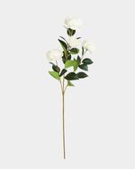 ONE-SIZE---Ivory