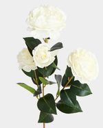 ONE-SIZE---Ivory