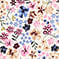 swatch