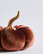 ONE-SIZE---Chocolate