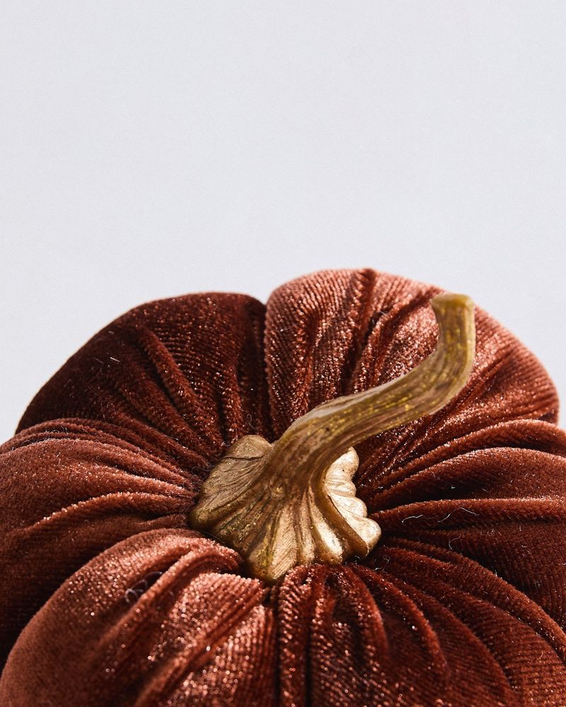 ONE-SIZE---Chocolate