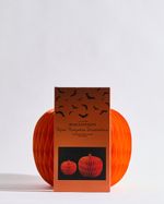 ONE-SIZE---Orange