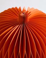 ONE-SIZE---Orange