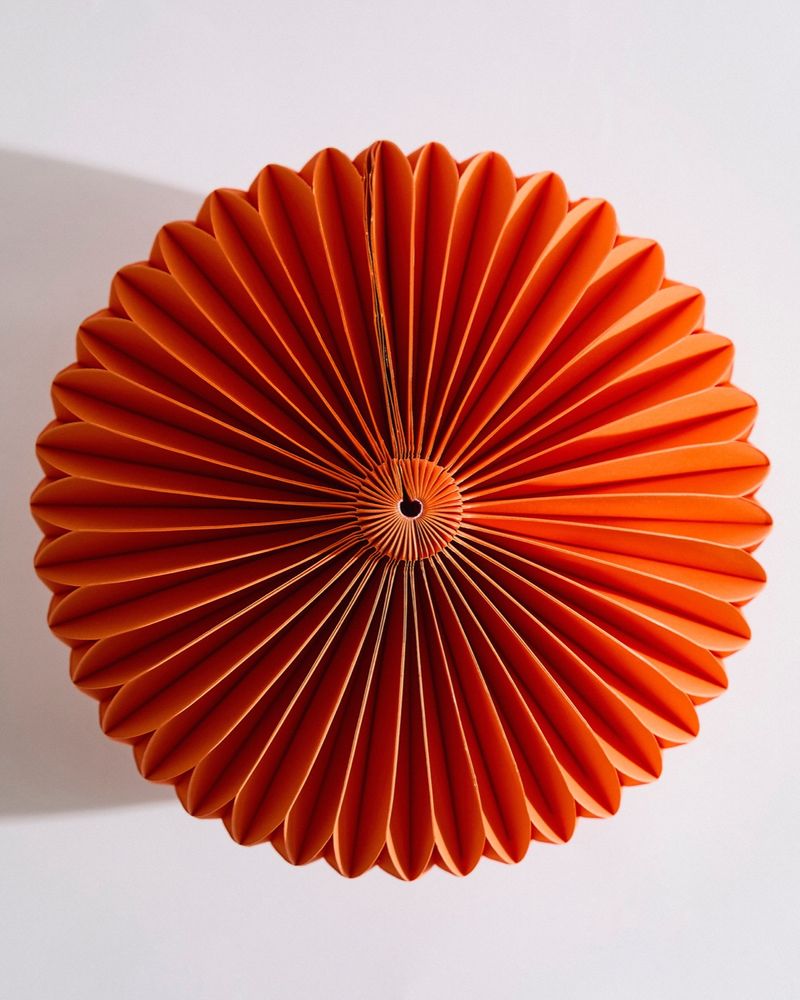 ONE-SIZE---Orange