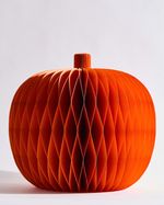ONE-SIZE---Orange