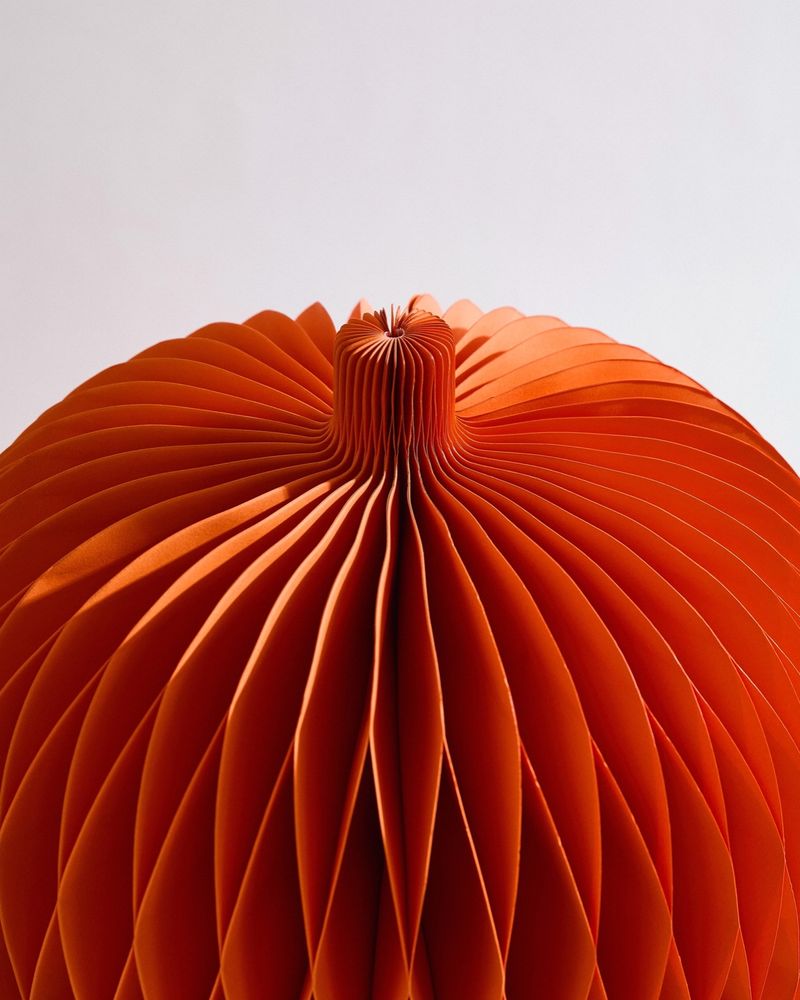 ONE-SIZE---Orange