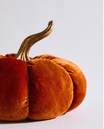 ONE-SIZE---Orange