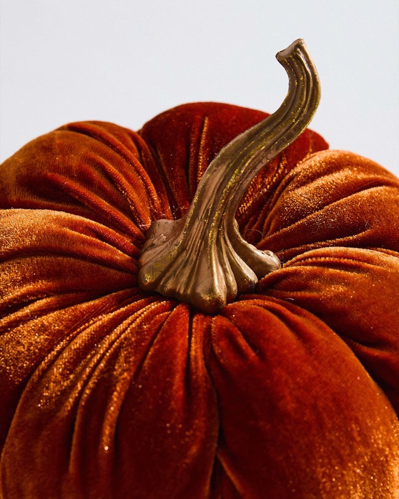 ONE-SIZE---Orange