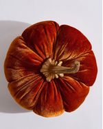 ONE-SIZE---Orange