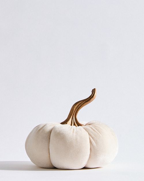 Small Velvet Pumpkin