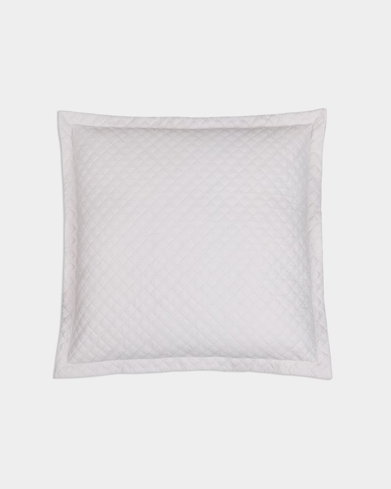 58X58---Oyster