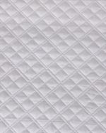 58X58---Oyster
