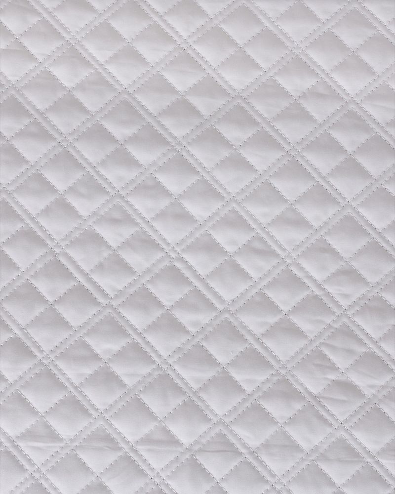 58X58---Oyster