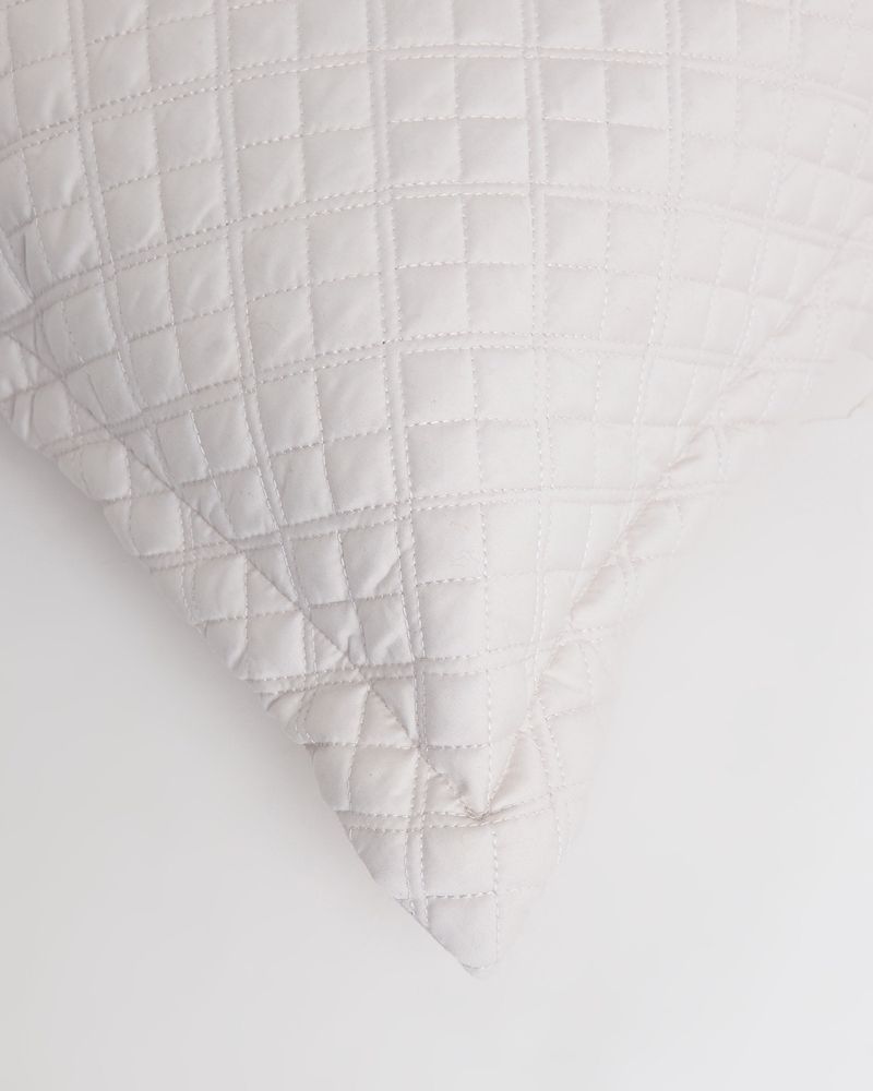 58X58---Oyster