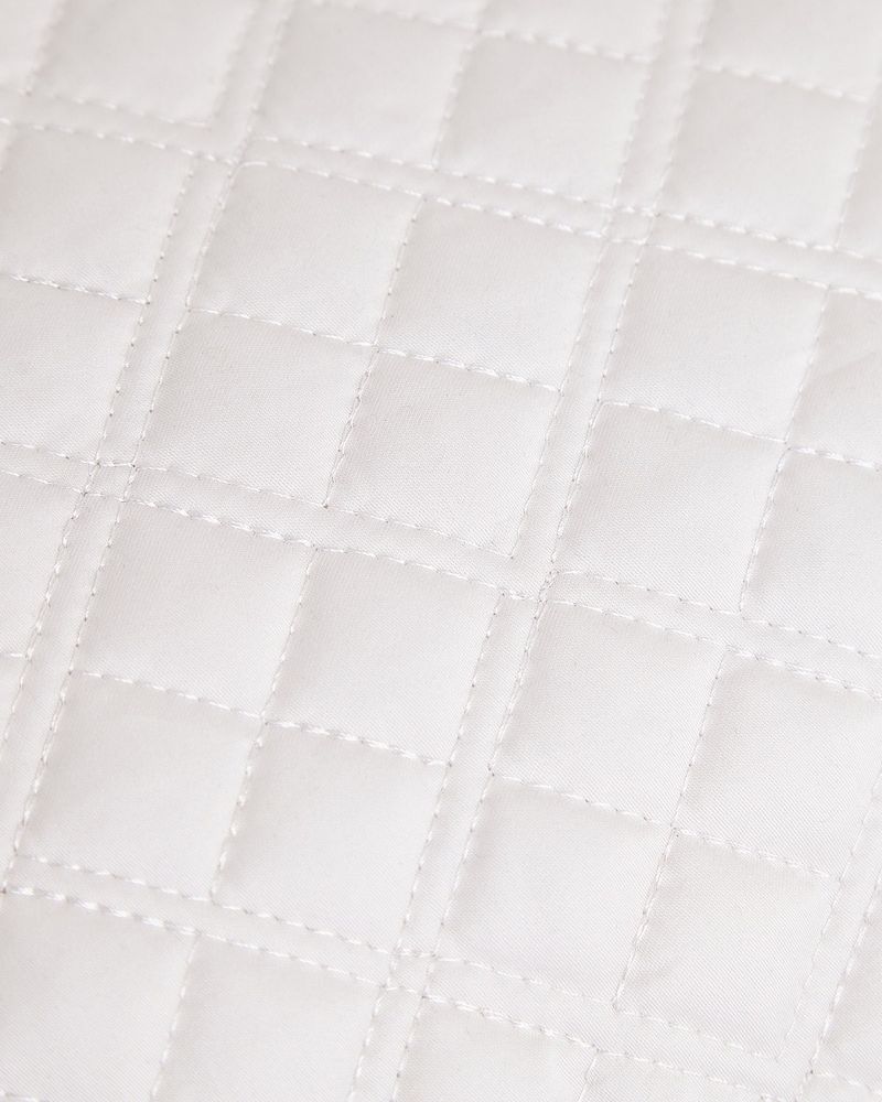 58X58---Oyster
