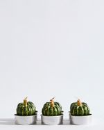 7121913_green