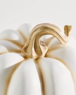 ONE-SIZE---Ivory