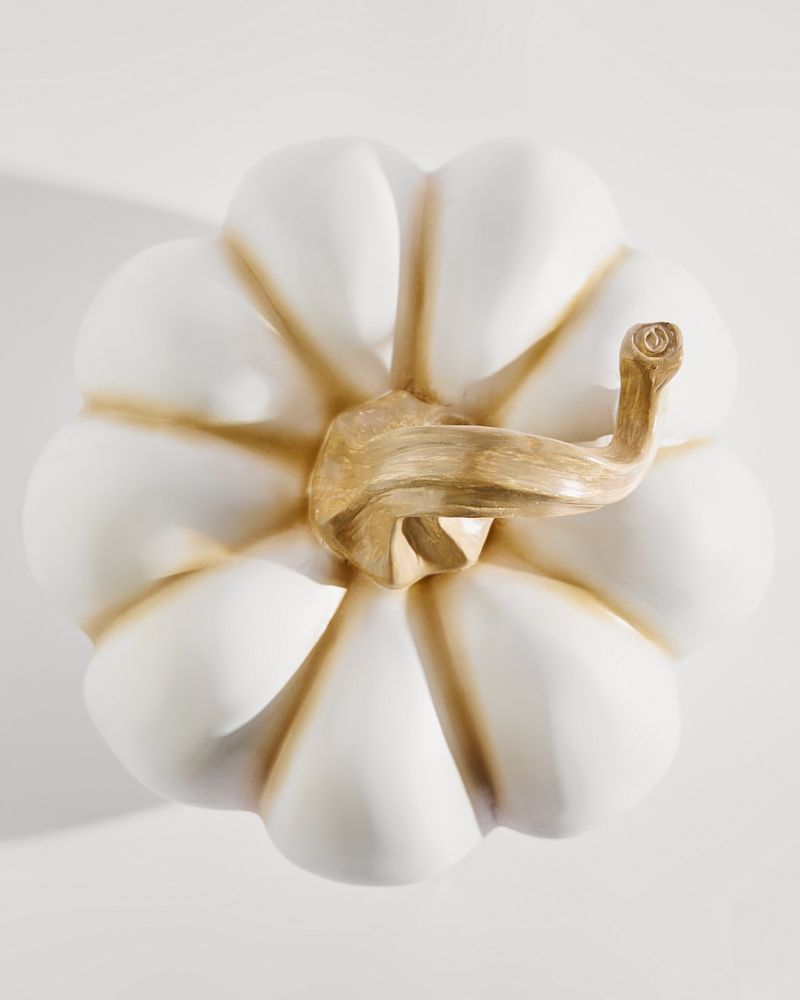 ONE-SIZE---Ivory