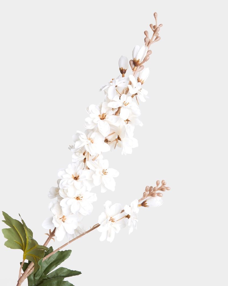 ONE-SIZE---Ivory