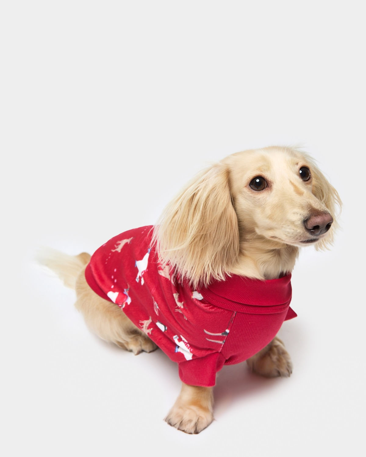 Family Christmas Dog Jumper Dunnes Stores