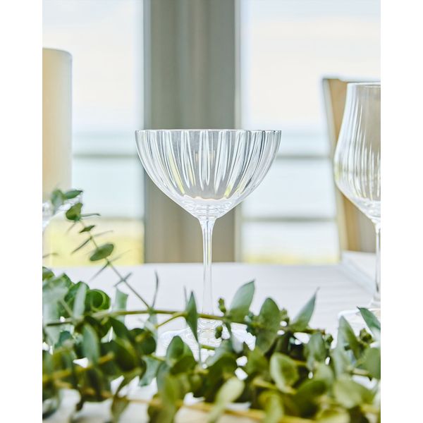 Francis Brennan The Collection Martini Glass