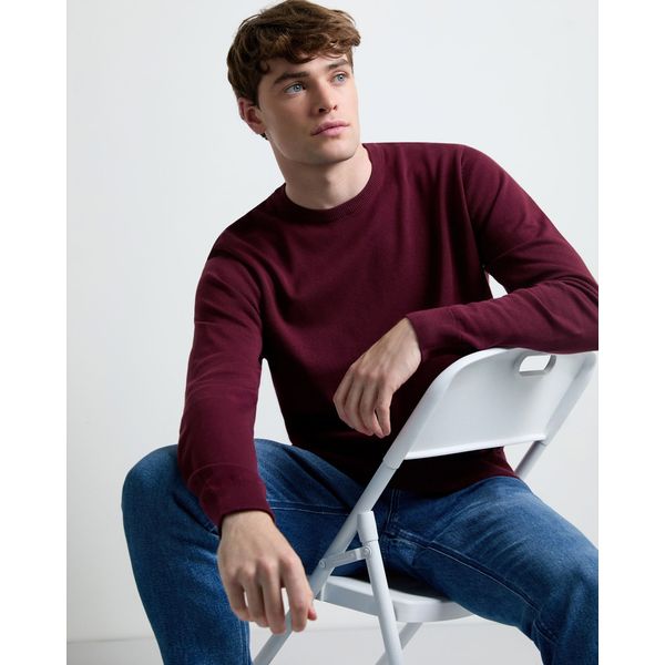 Regular Fit Cotton Crew Neck Jumper