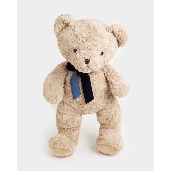 Paul Costelloe Living Freddie Bear